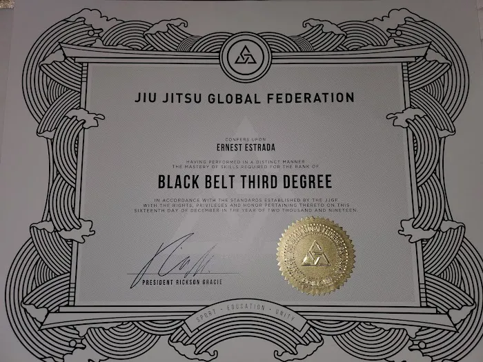 Python Jiu-Jitsu Academy Picture 5