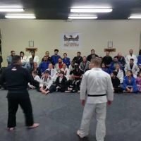Hand To Hand Martial Arts ico