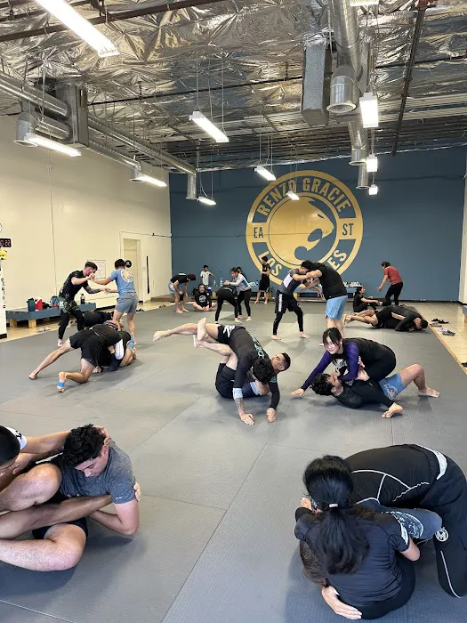 Renzo Gracie East Los Angeles Picture 5