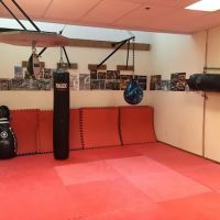 Gig Harbor Mixed Martial Arts/Checkmat Gig Harbor ico