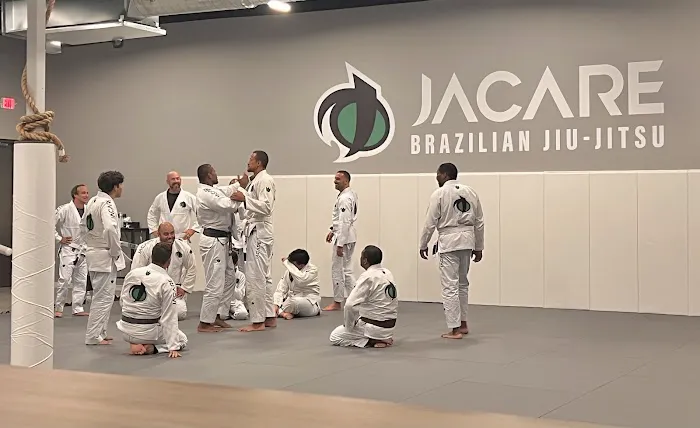 Jacare Martial Arts Picture 2