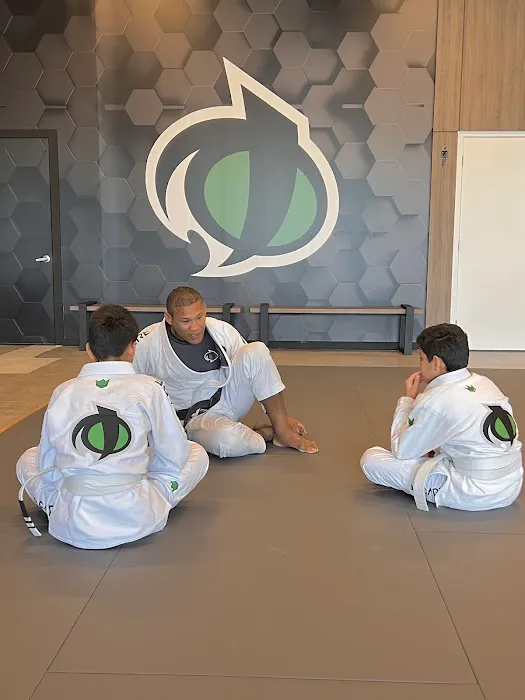 Jacare Martial Arts Picture 5