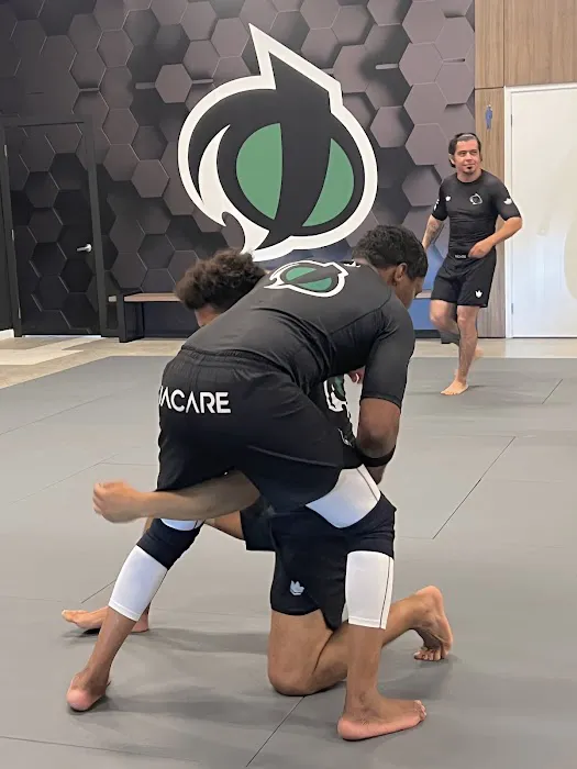 Jacare Martial Arts Picture 8