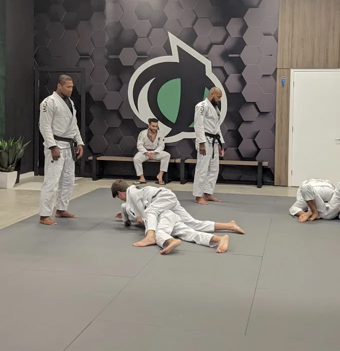 Jacare Martial Arts Picture 9