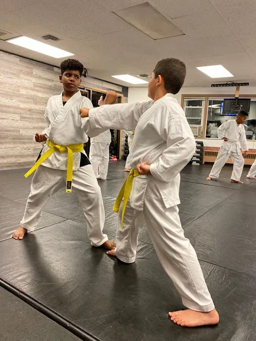 Budo Karate Dojo Picture 6