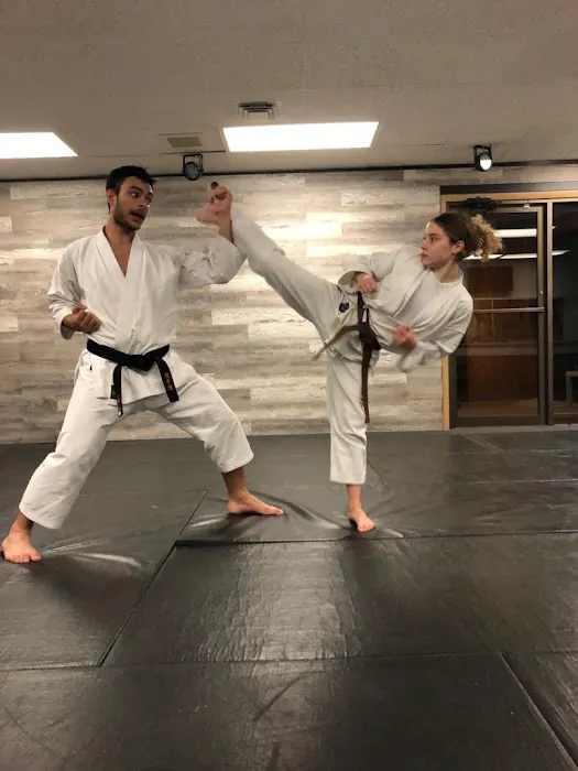 Budo Karate Dojo Picture 4