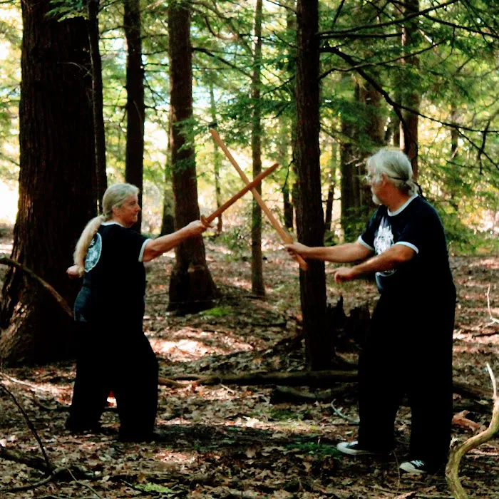 Seven Mountains Tai Chi Picture 7