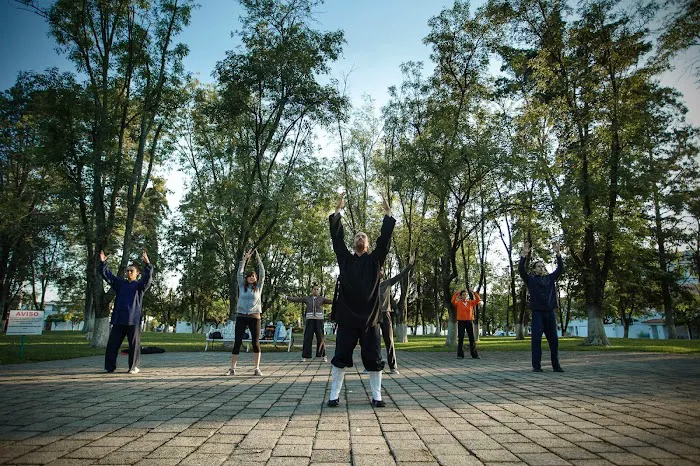 Seven Mountains Tai Chi Picture 6