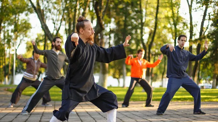 Seven Mountains Tai Chi Picture 3