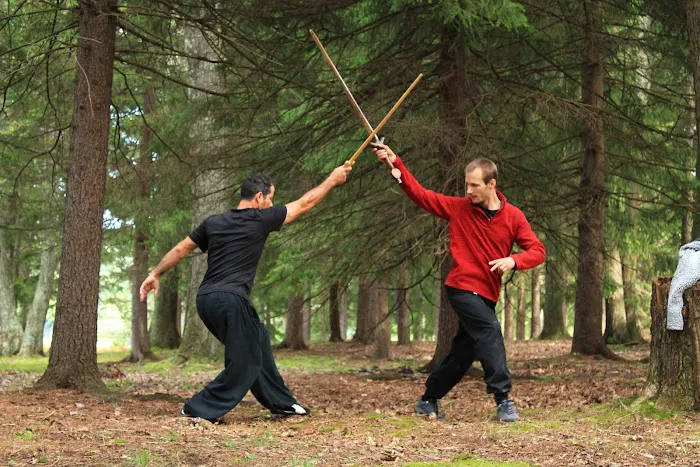 Wudang Swordsmen Academy Picture 4