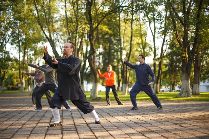 Wudang Swordsmen Academy Picture 3