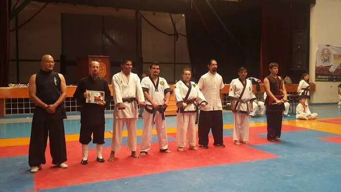Wudang Swordsmen Academy Picture 2
