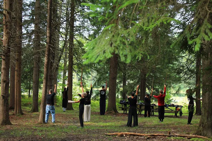 Wudang Swordsmen Academy Picture 6