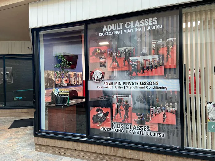 Tiger Schulmann's Martial Arts (Wayne, NJ) Picture 7