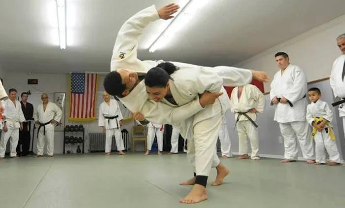 Riverdale Kenshikai Karate Picture 4