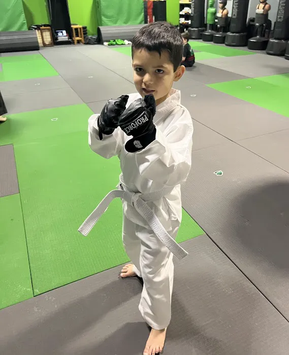 Action Hero Dojo Picture 1