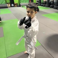 Action Hero Dojo ico