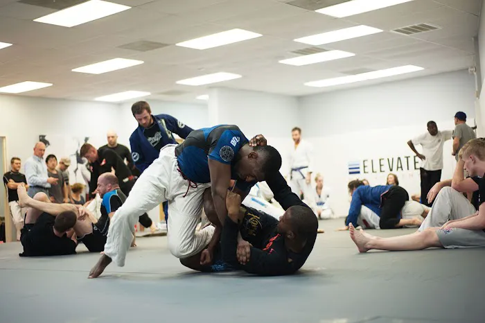 Elevate MMA Academy Picture 2