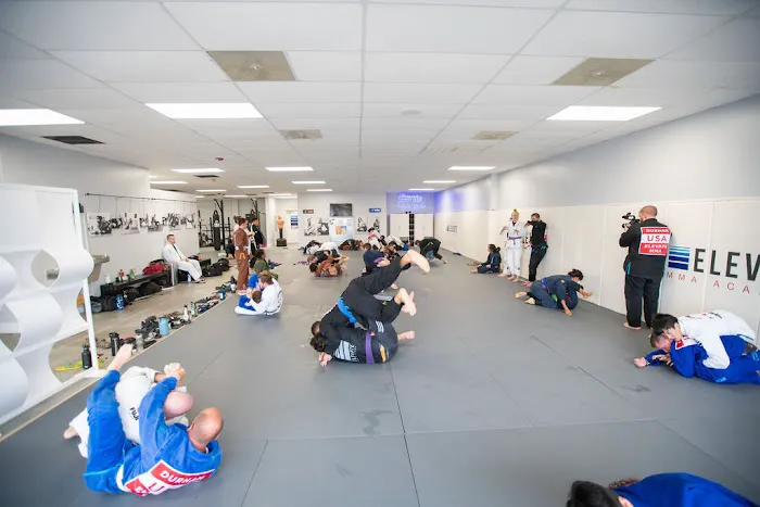Elevate MMA Academy Picture 3