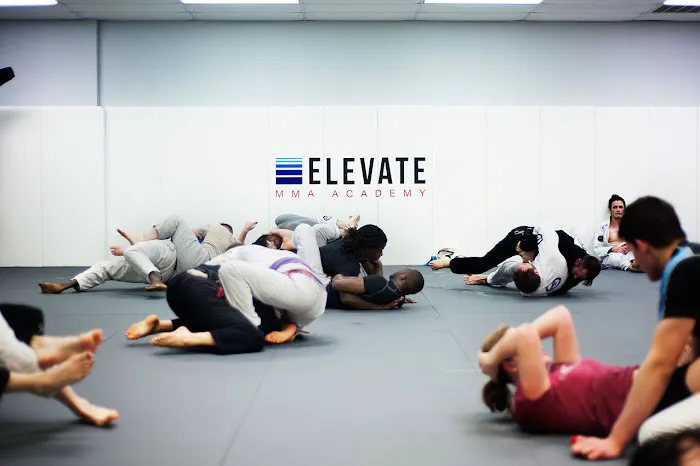 Elevate MMA Academy Picture 7