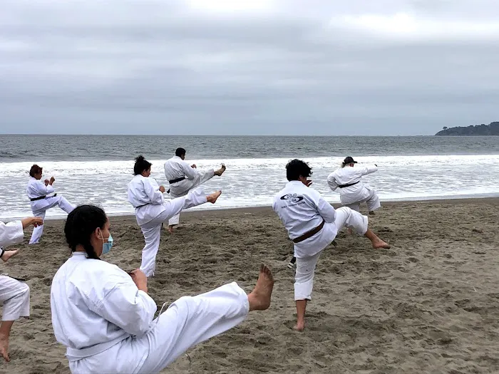 Dojo USA World Training Center Picture 6
