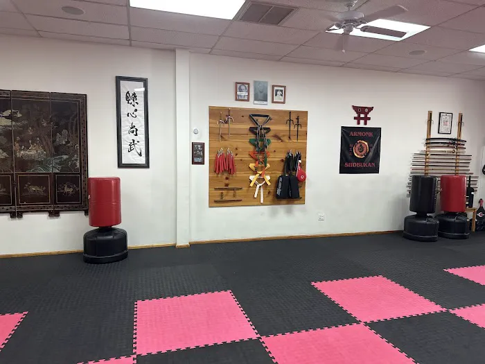 Armonk Martial Arts Inc Picture 2