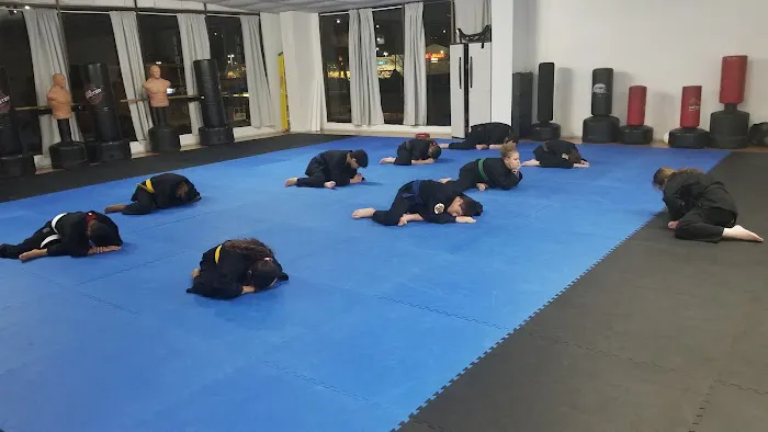 American Martial Arts Association Picture 1