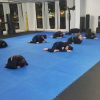 American Martial Arts Association ico