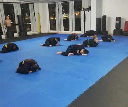 American Martial Arts Association