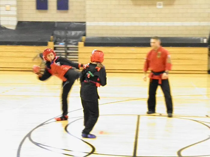 American Martial Arts Association Picture 7