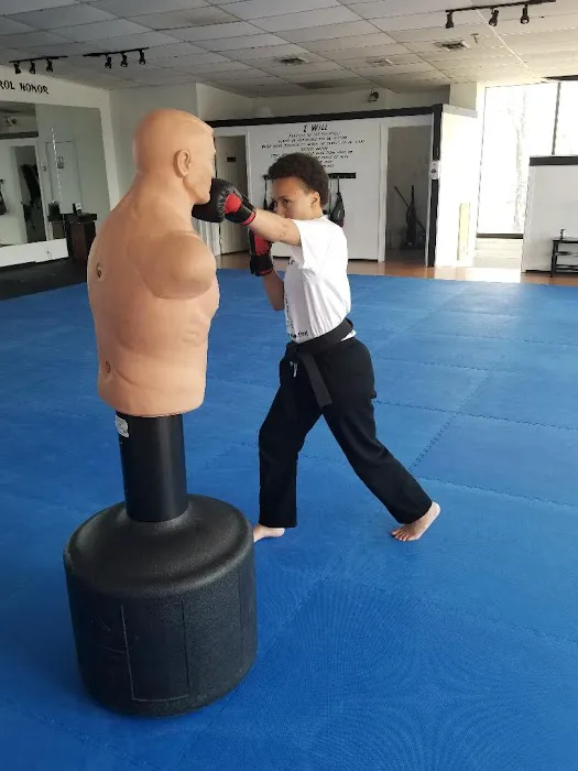 American Martial Arts Association Picture 8
