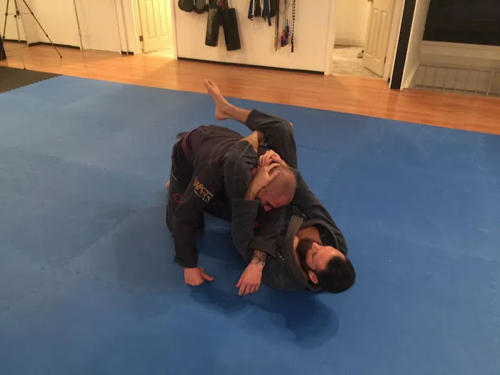 American Martial Arts Association Picture 2