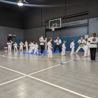 Valentin Karate Bristol ico