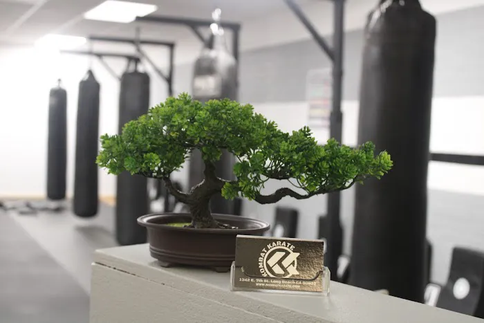 Kombat Karate LBC Picture 9