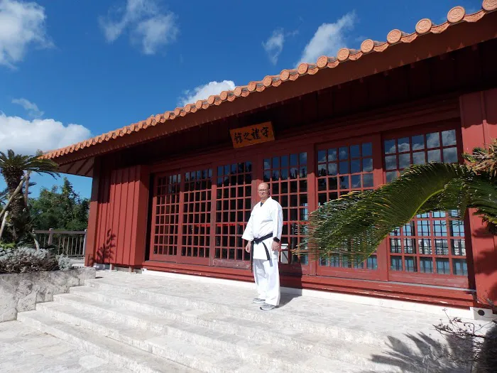 Karate by Angel Picture 3