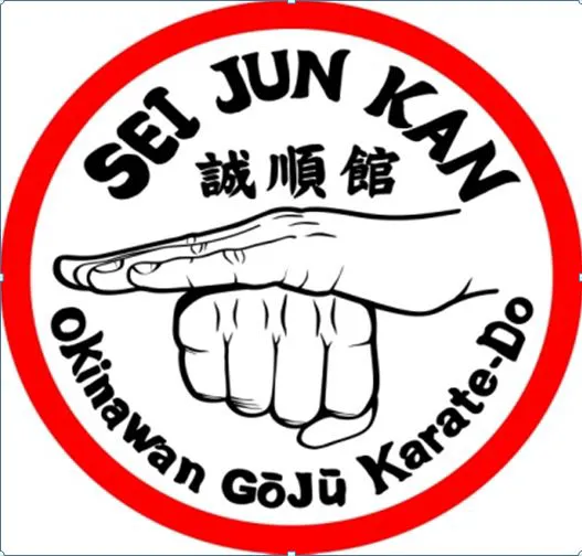 Se Jun Kan Traditional Okinawan karate Picture 1