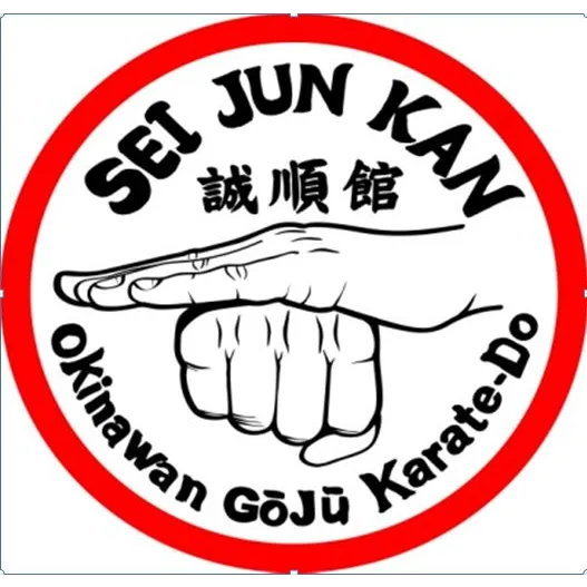 Se Jun Kan Traditional Okinawan karate Picture 5