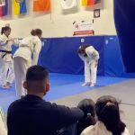 Judo Movement