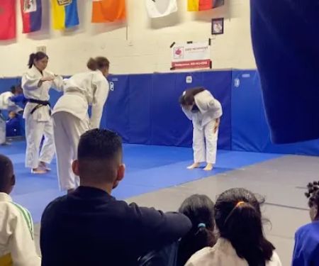 Judo Movement