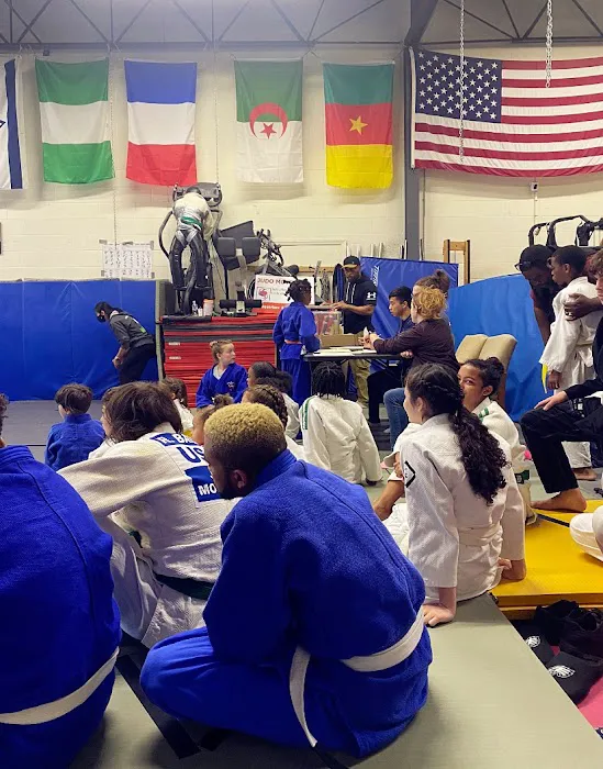 Judo Movement Picture 3