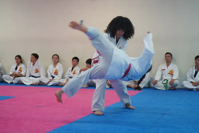 Jin Pal Hapkido Picture 2