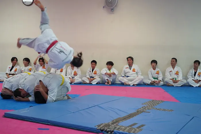 Jin Pal Hapkido Picture 8