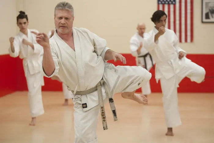 Shotokan Karate MN Picture 1