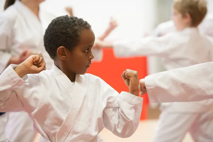 Shotokan Karate MN Picture 3