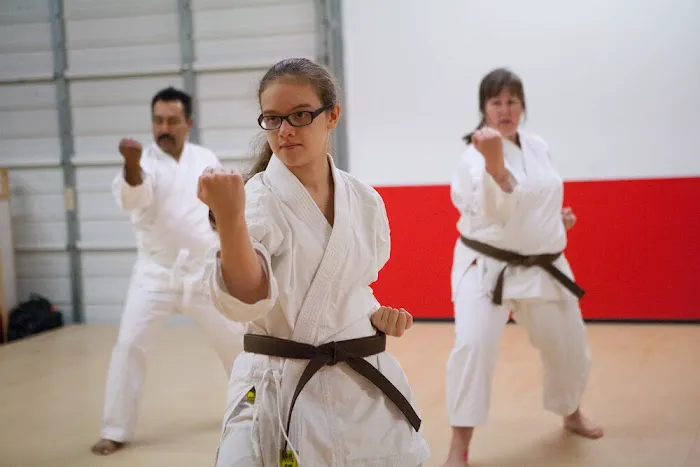 Shotokan Karate MN Picture 2