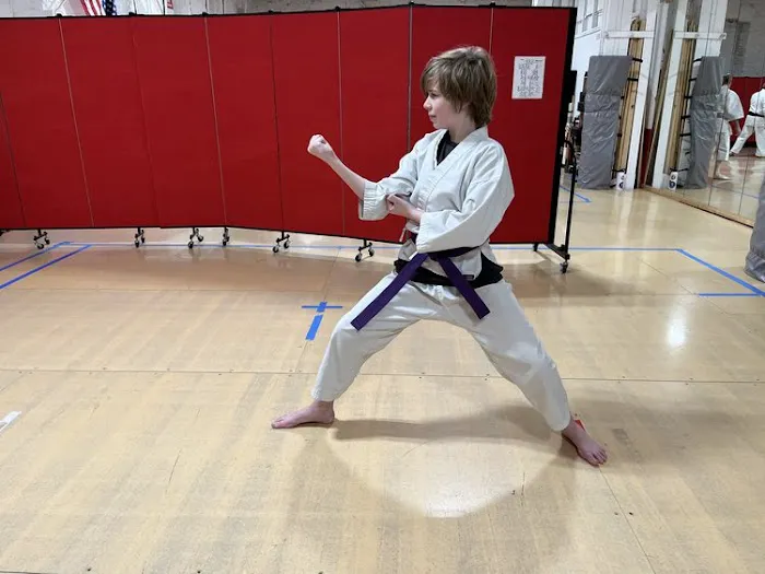 Shotokan Karate MN Picture 5