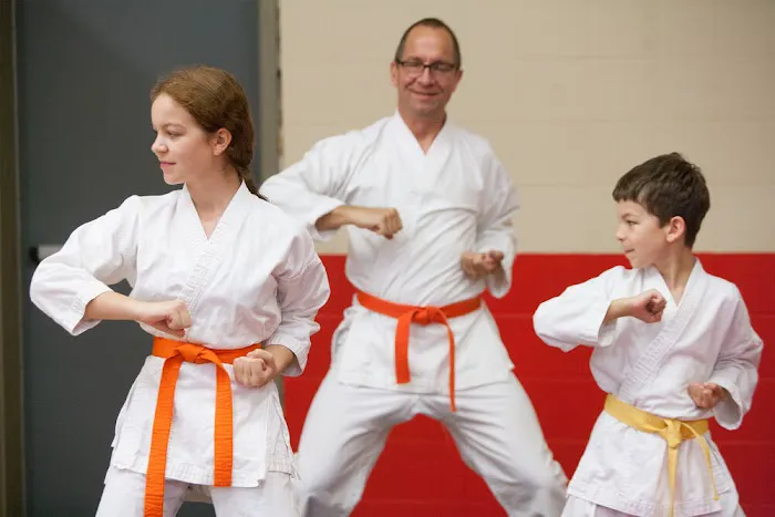 Shotokan Karate MN Picture 4