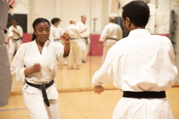 Shotokan Karate MN Picture 6