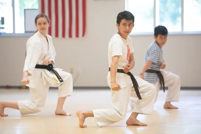 Shotokan Karate MN Picture 8