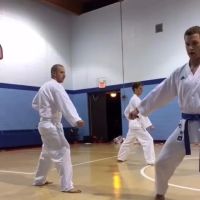 Illinois Shotokan Karate Clubs ico